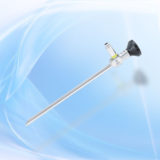 Endoscopic laryngoscope