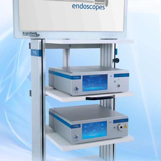 Endoscopic Video Camera BF-VC-4K and LED Light Source BRF-L