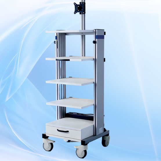 Endoscopic trolleys