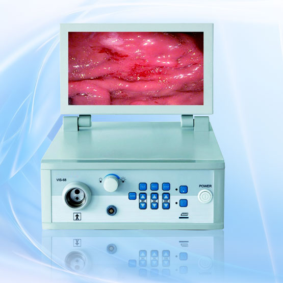 Endoscopic system